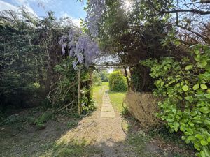 wisteria- click for photo gallery